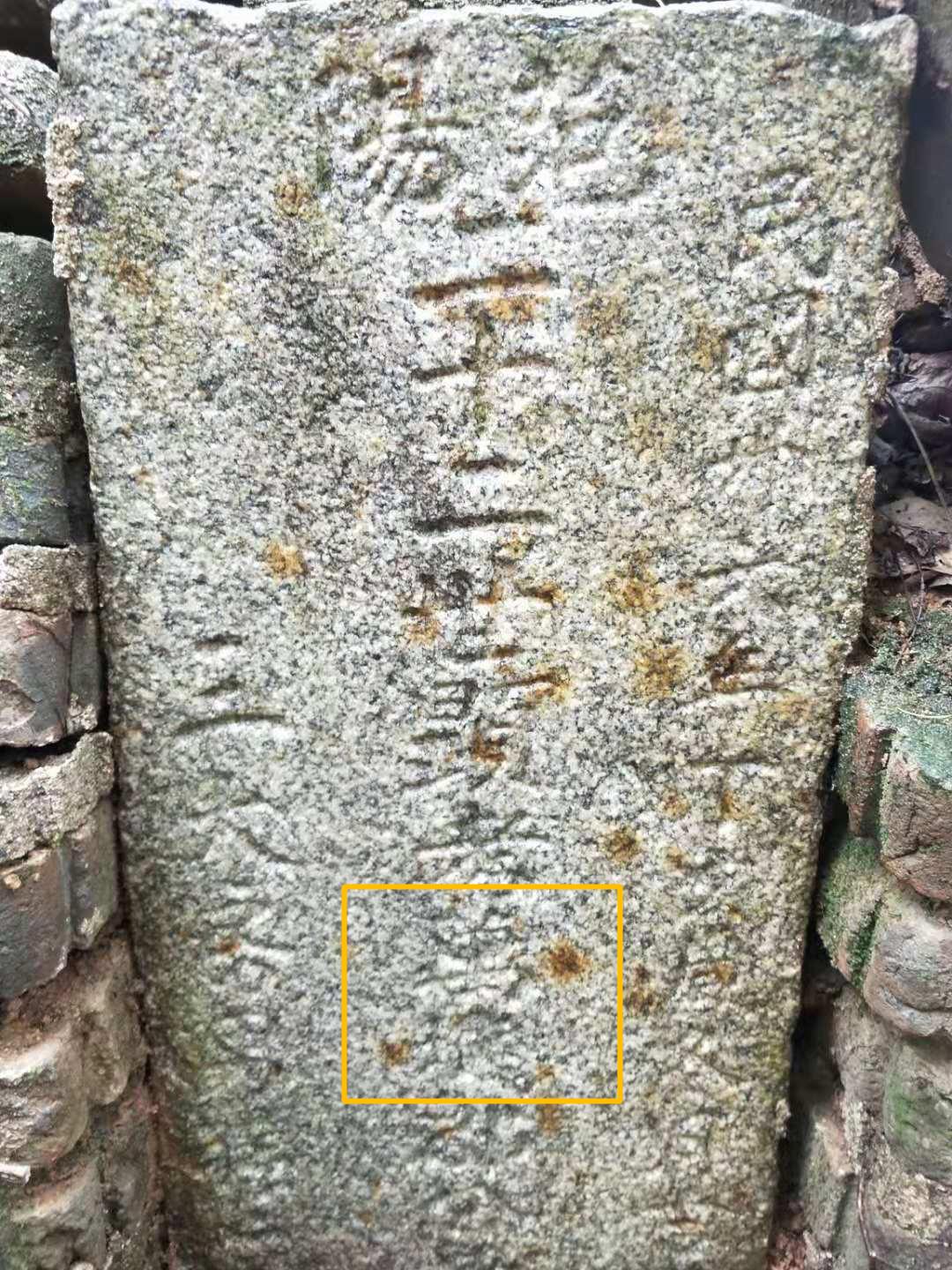 跨年夜的一通越洋电话，为马来西亚客裔华人的“家族树”寻回根源