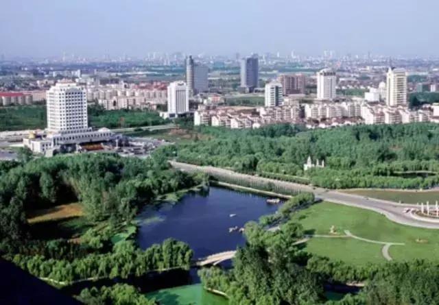 山东最大的黑马市,山东黑马城市是哪个