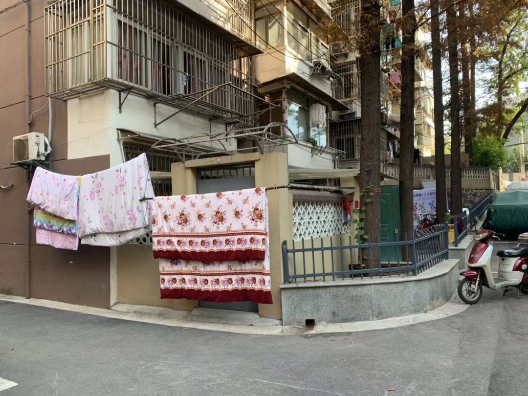 单价破6万/平，7天成交4套，单学区房真“火了”？