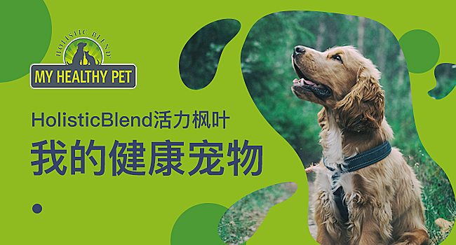 猫的100种奇特行为,猫咪的笑是怎么弄出来的