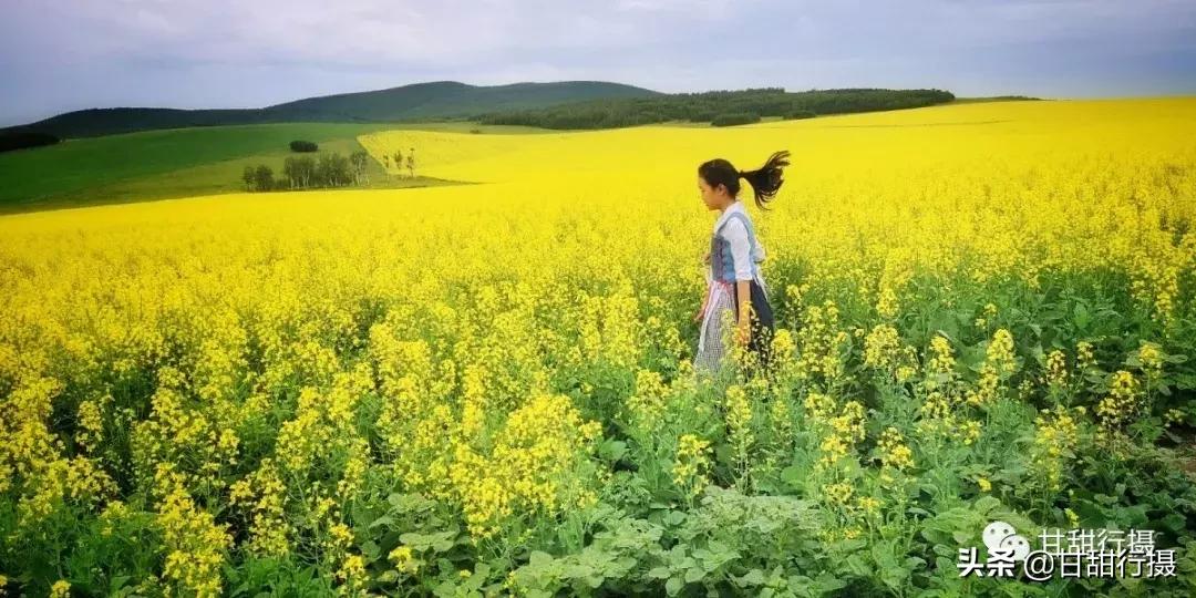 呼伦贝尔浩野户外旅行,呼伦贝尔户外游私人订制