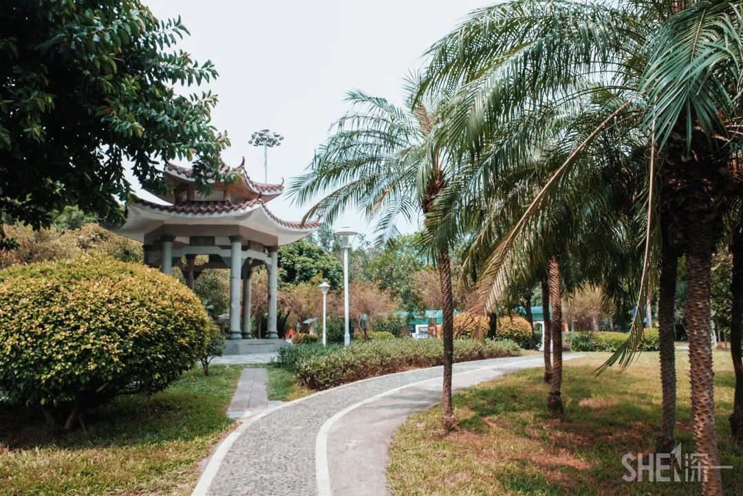 疫情期间免费开放的公园,疫情期间开放的公园有哪些