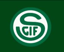 人物｜中超迎瑞典足坛“励志哥”：低级别联赛起步30岁进国家队