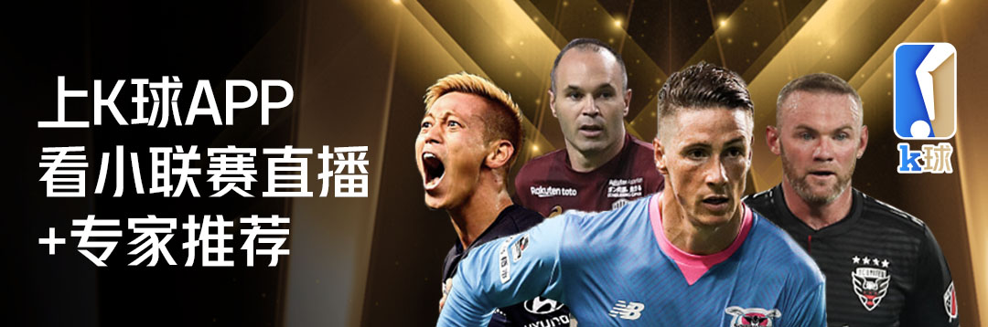 世界杯海牙,海牙与荷兰的关系