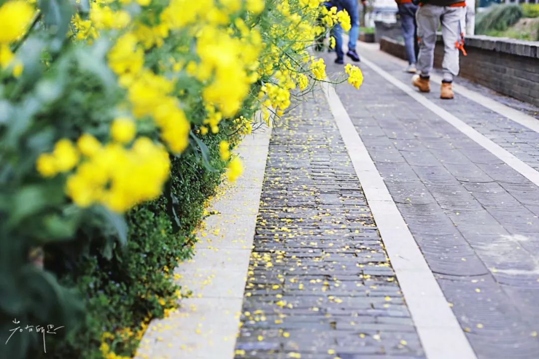 生活在中国最具幸福感城市,去中国最美乡村