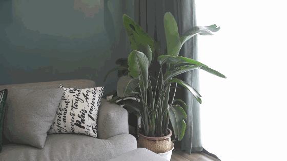 广州88㎡北欧宅，设计师遇上科技控，平凡空间变身時尚智能爱巢