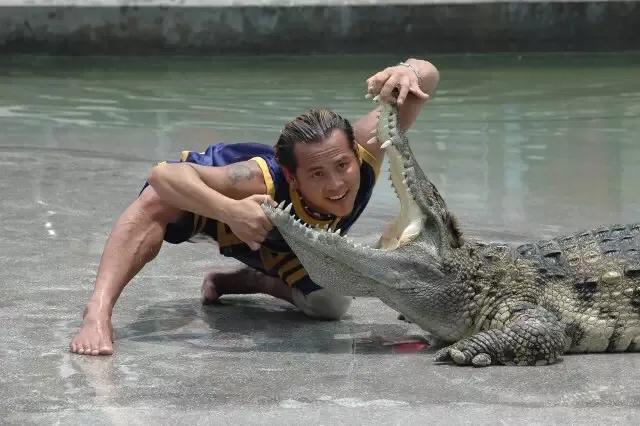 长隆飞鸟乐园拍鸟攻略,广州长隆飞鸟乐园可以摸哪些鸟