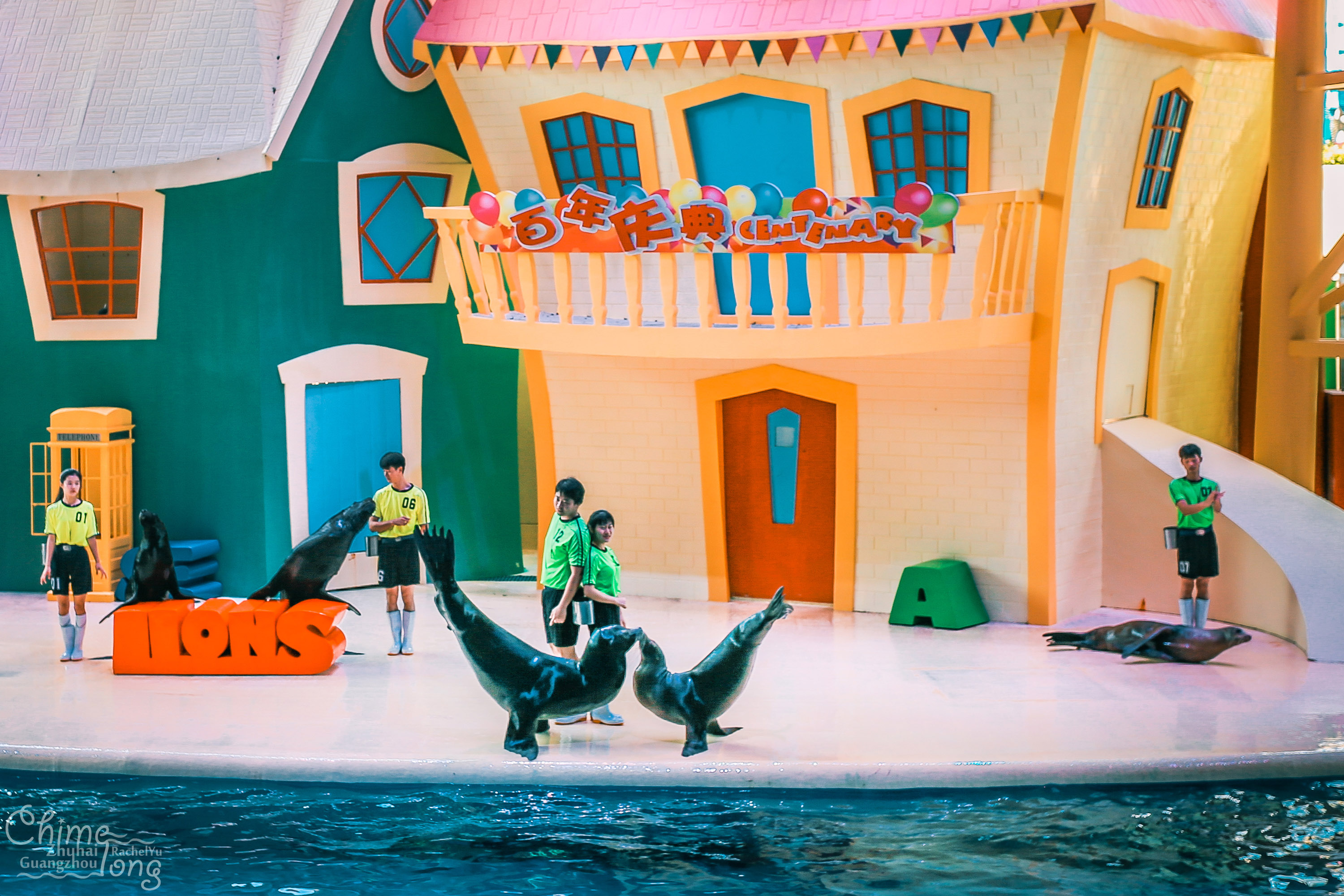 全球最大的海洋主题乐园之一,世界最高的海洋乐园