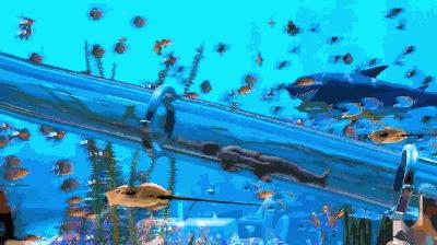 深坑酒店历时几年建成,深坑酒店世界上最豪华酒店