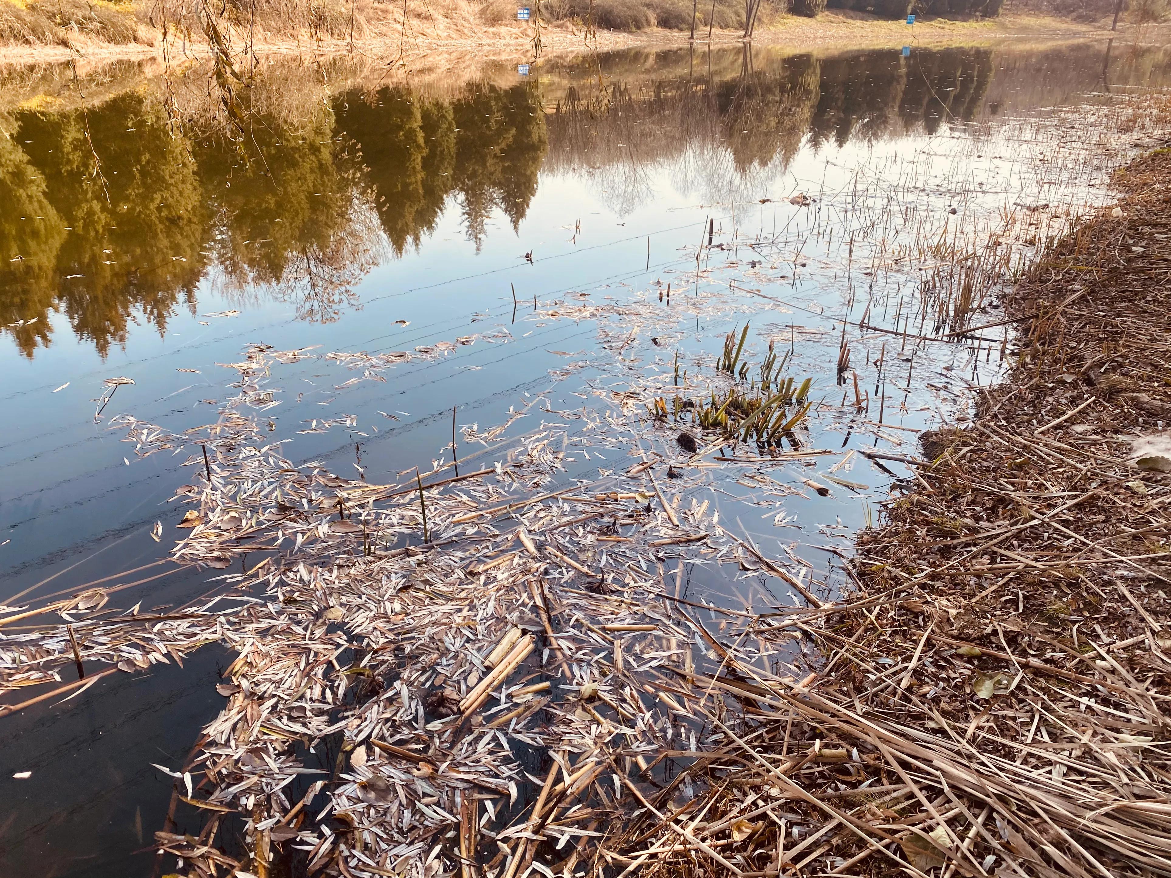 奥森游玩攻略,奥森亲子游玩