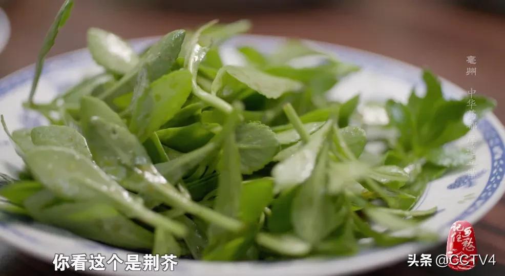 华佗故乡亳州药都之乡简介,亳州为什么被称为华佗故里