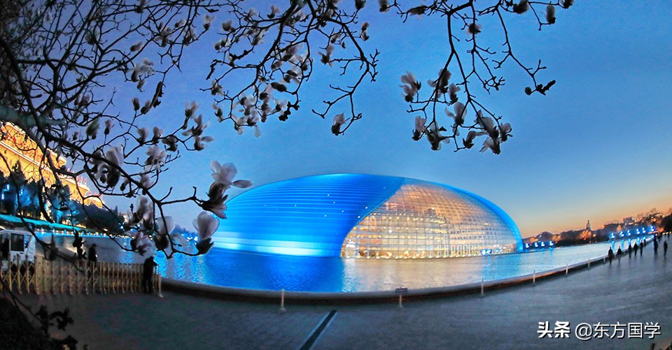 @所有人，周末一起赏玉兰，五处北京玉兰美景