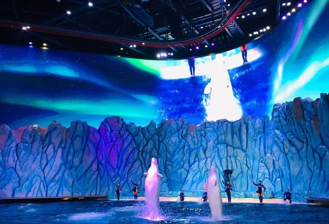 珠海长隆海洋王国附近住宿攻略,珠海长隆海洋王国三人住两天一夜