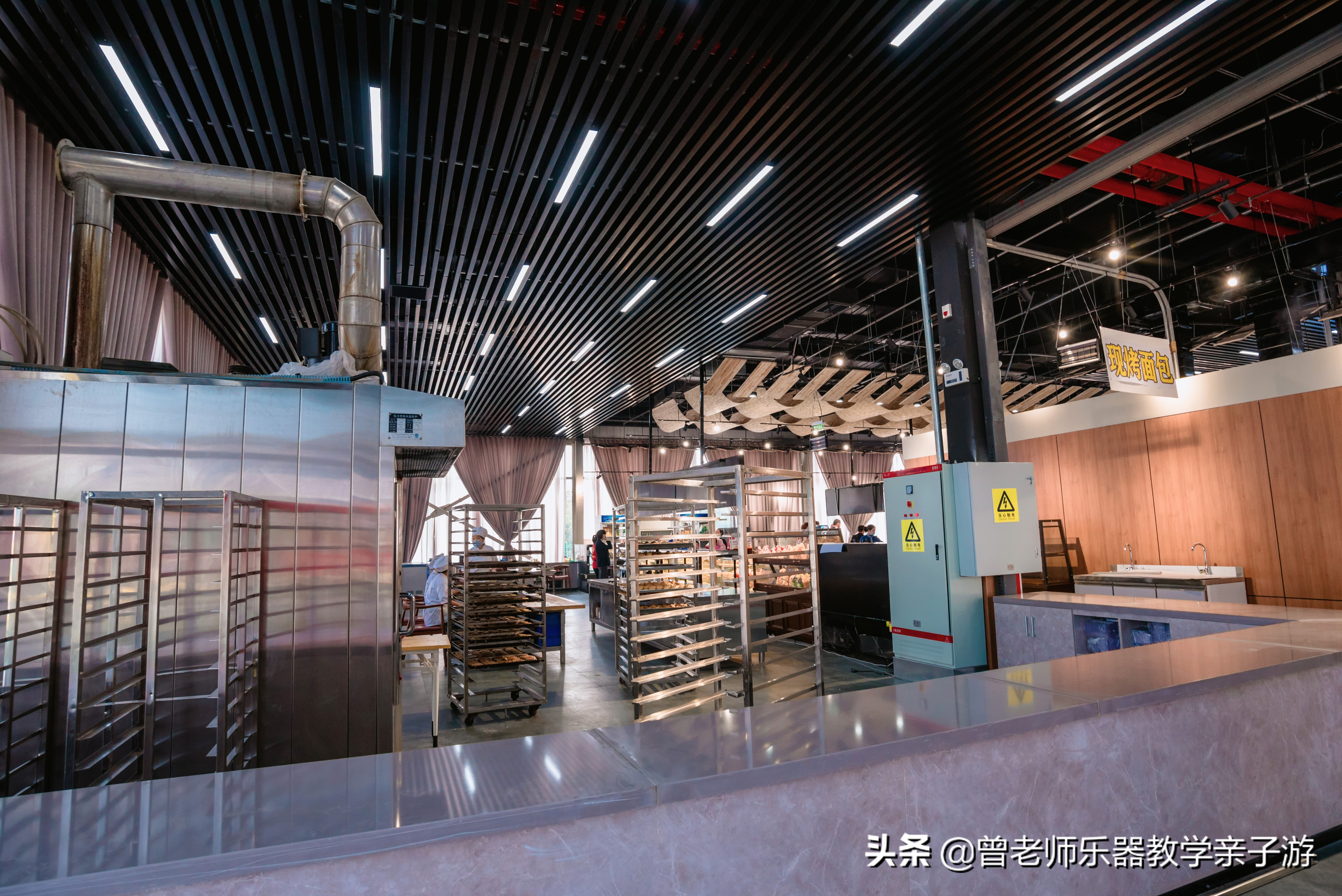 爱菊研学游,爱菊丝路文化菊花园西安