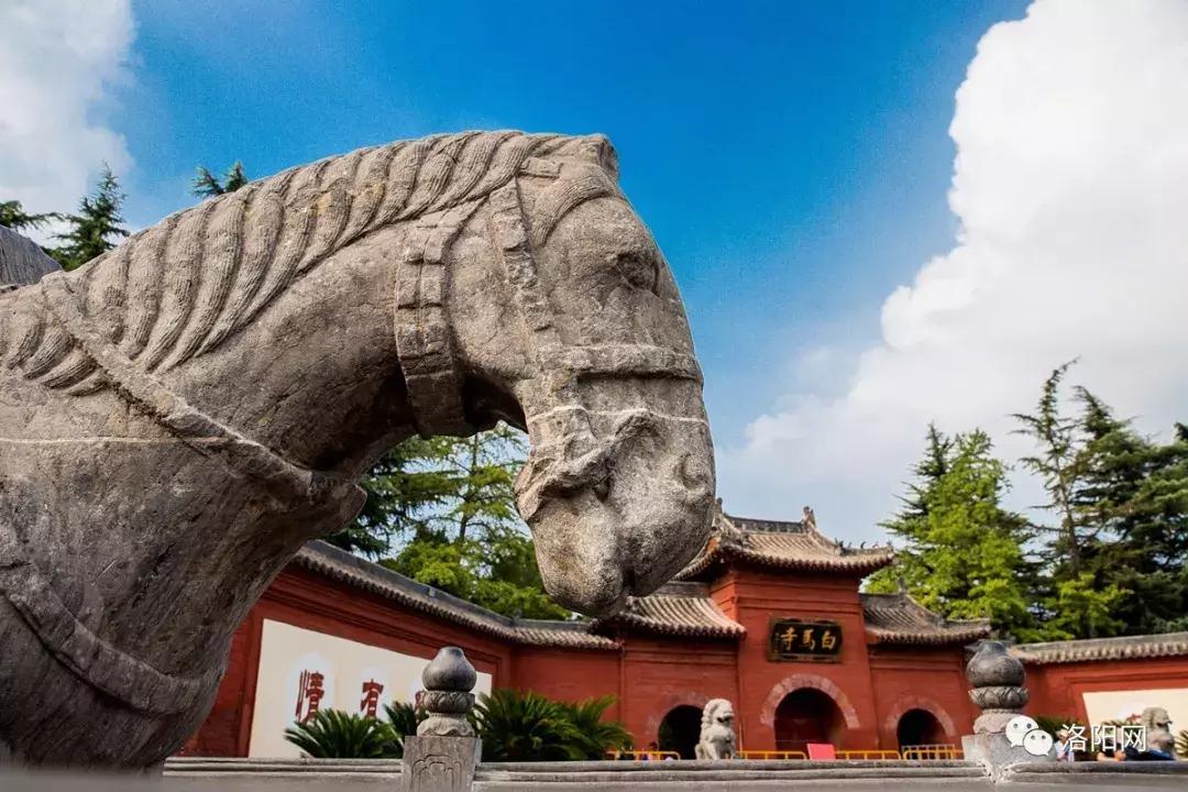 洛阳牡丹花会邀请,洛阳邀请全世界人民看牡丹