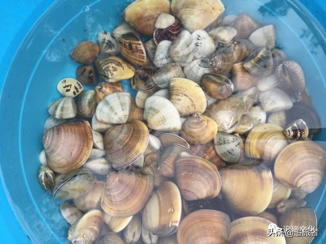 简单趣味沙滩团建,适合海边玩的拓展团建游戏