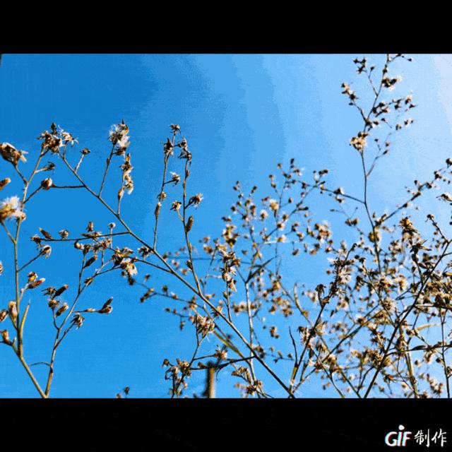 五个理由让你爱上新加坡,四十个理由让你彻底爱上苏州