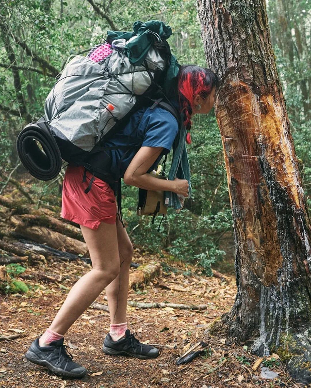 pick好店,pick好物版