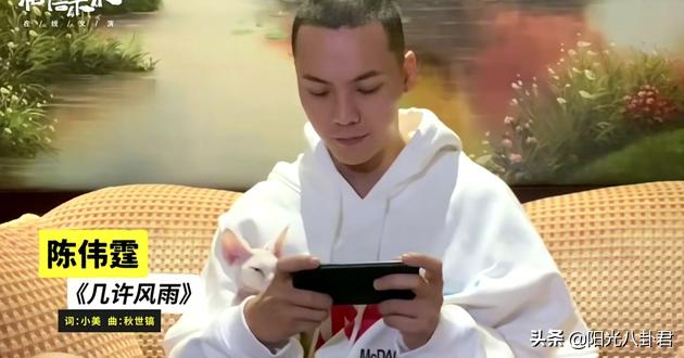 汪涵跨年主持口误何炅救场,汪涵直播口误事件