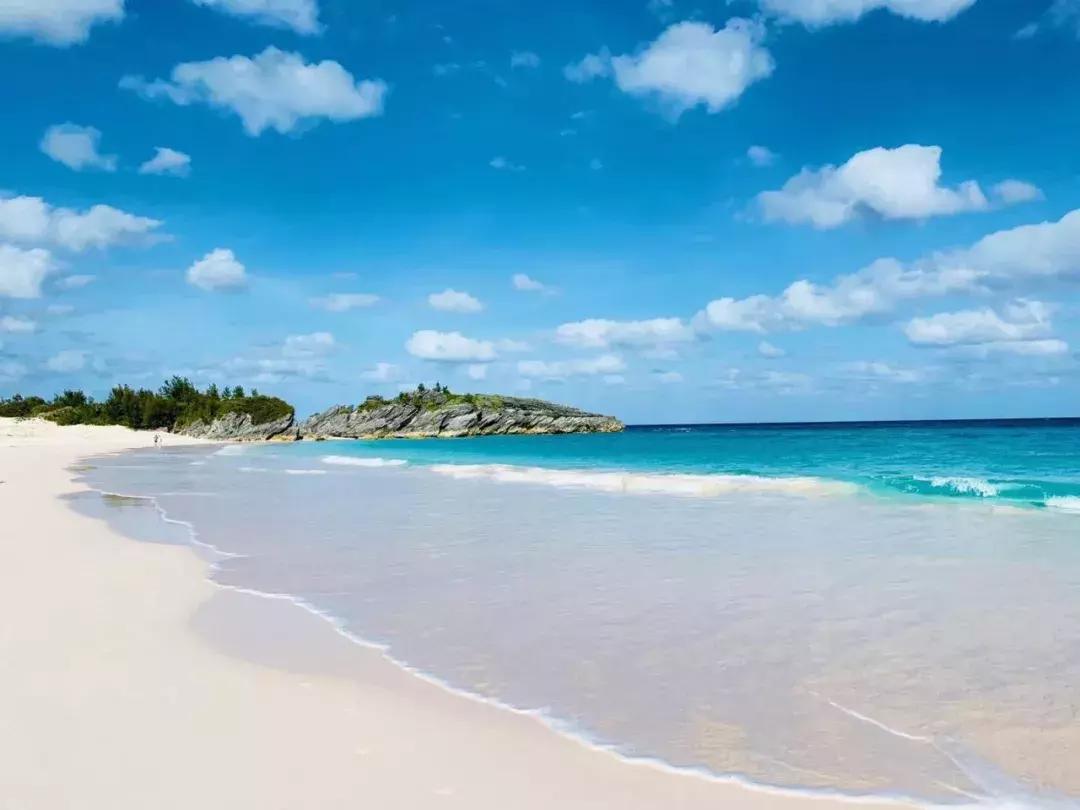 哈佛学霸35个忠告,哈佛学霸教育感悟