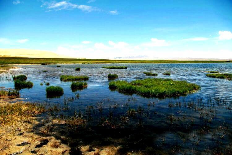 在青海竟私藏着一个比甘肃月牙泉更美的沙漠清泉瀚海明珠金子海