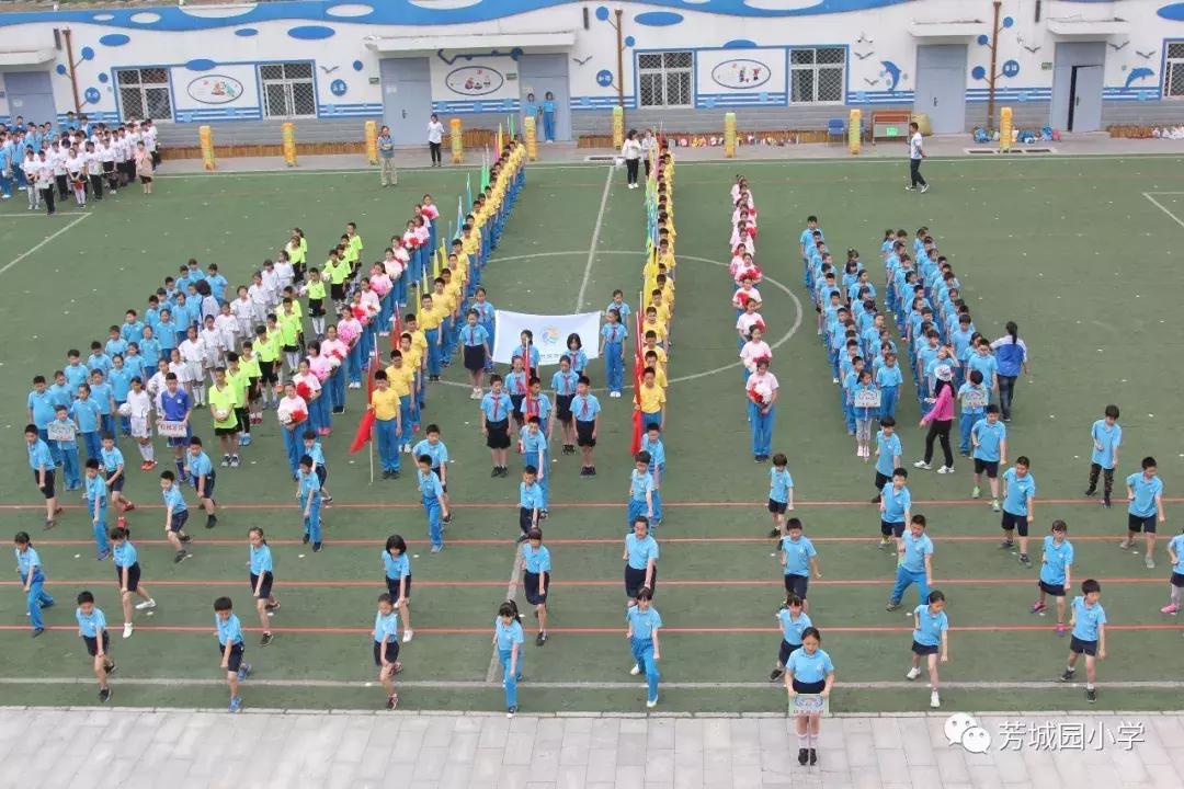 丰台区小学生运动会开幕式,丰台区小学生运动会2024