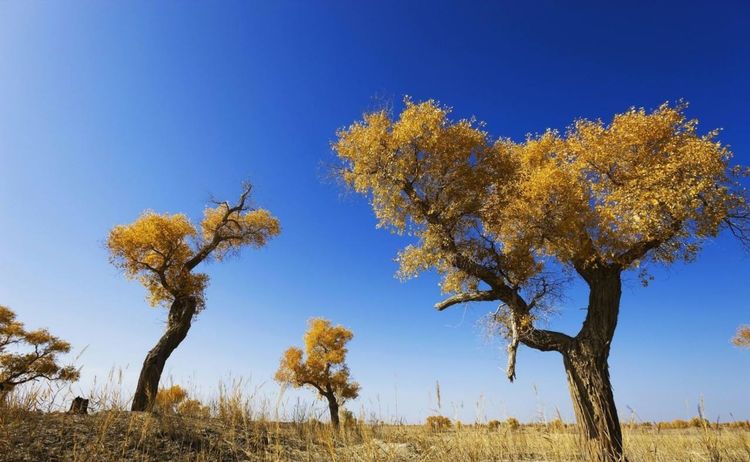 教改20年，三线以下城乡素质教育的问题和希望（原创