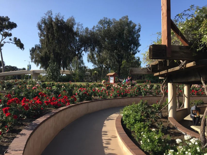 田纳西大学,中田纳西州立大学