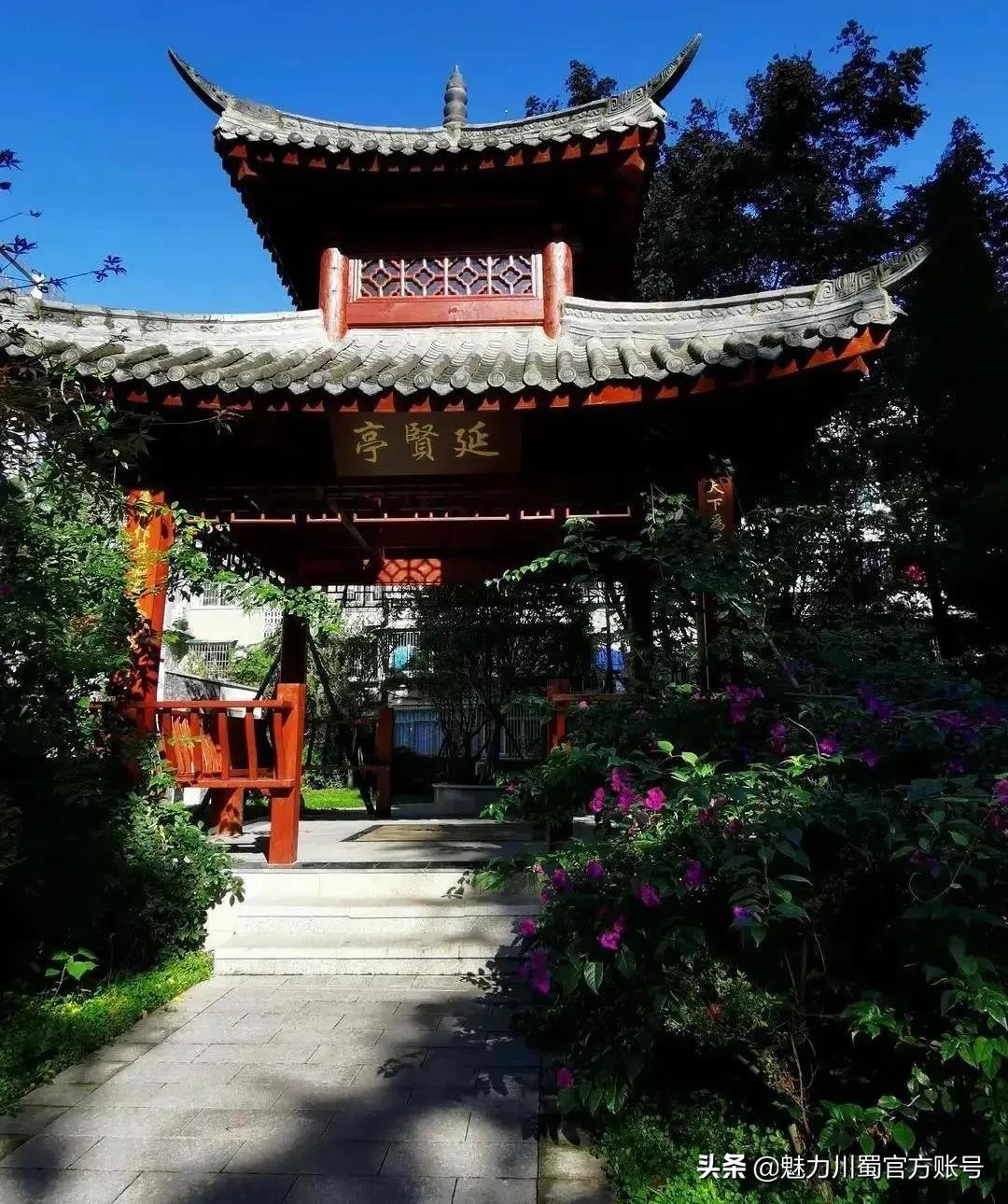 绵阳南山中学办学理念,家长评价绵阳南山中学真实水平