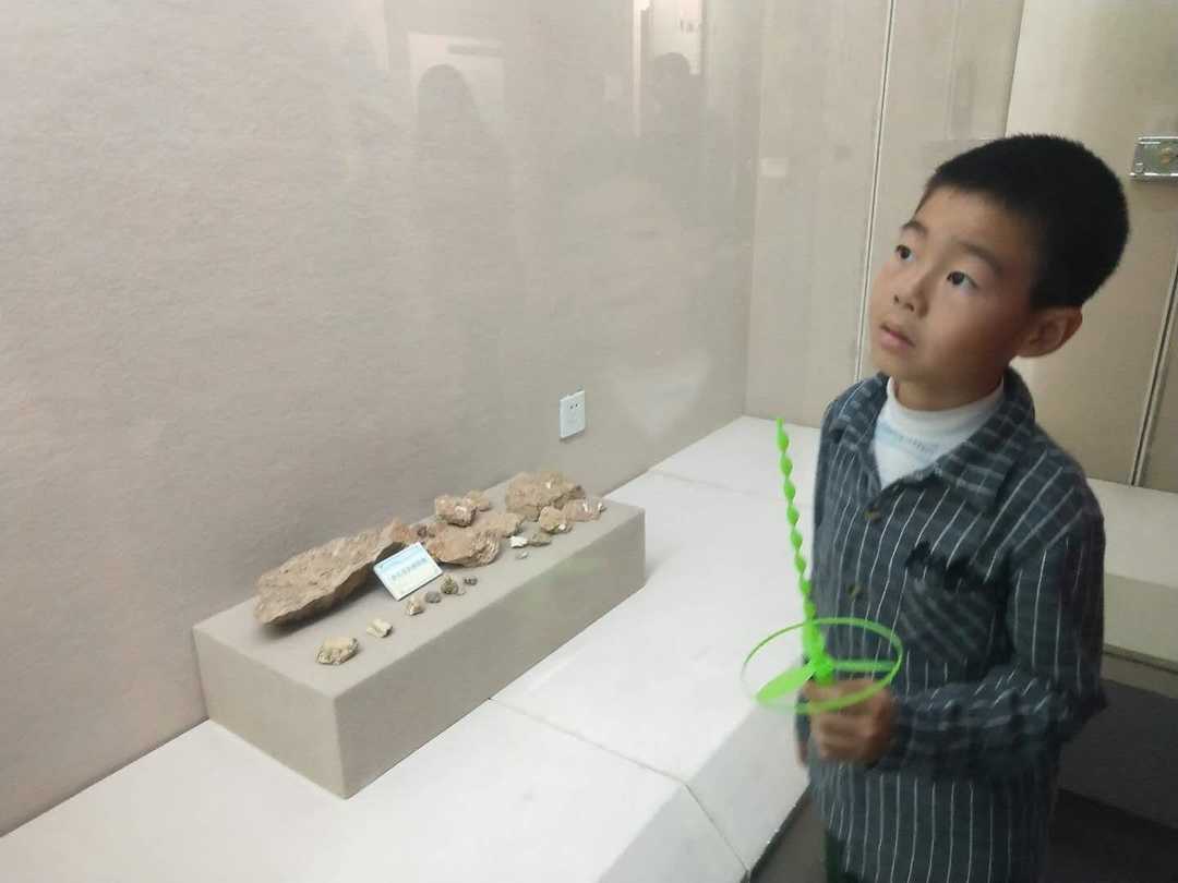 情知不久须相见，一日甚三秋，愁来不自由。‖马坝人遗址公园