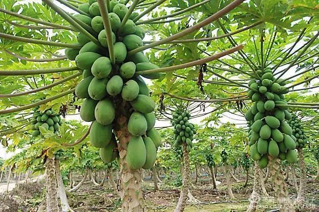 福建长汀最好玩的地方在哪里,福建长汀最好玩的地方在哪里呀