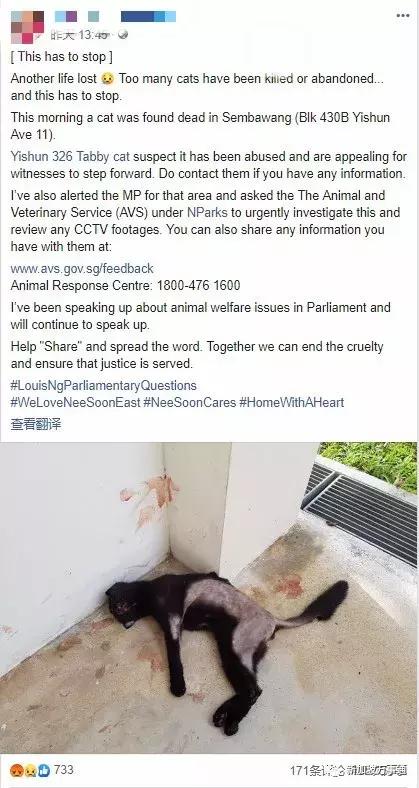 新加坡全岛追凶！一只黑猫竟被如此残忍地虐死