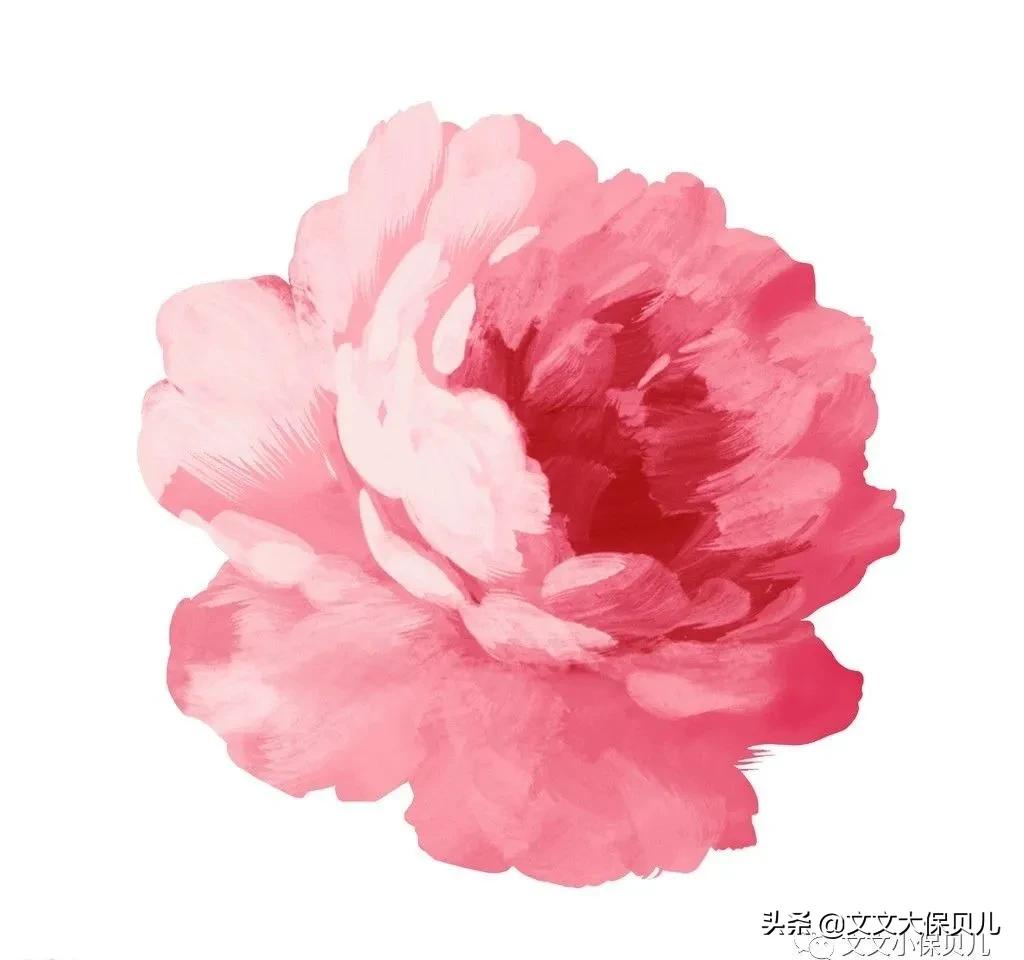 牙齿根管治疗理赔2772元：生病了再买保险，需要理赔了再投保