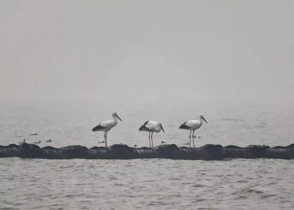合肥大蜀山游玩攻略,合肥蜀山区最值得去的地方