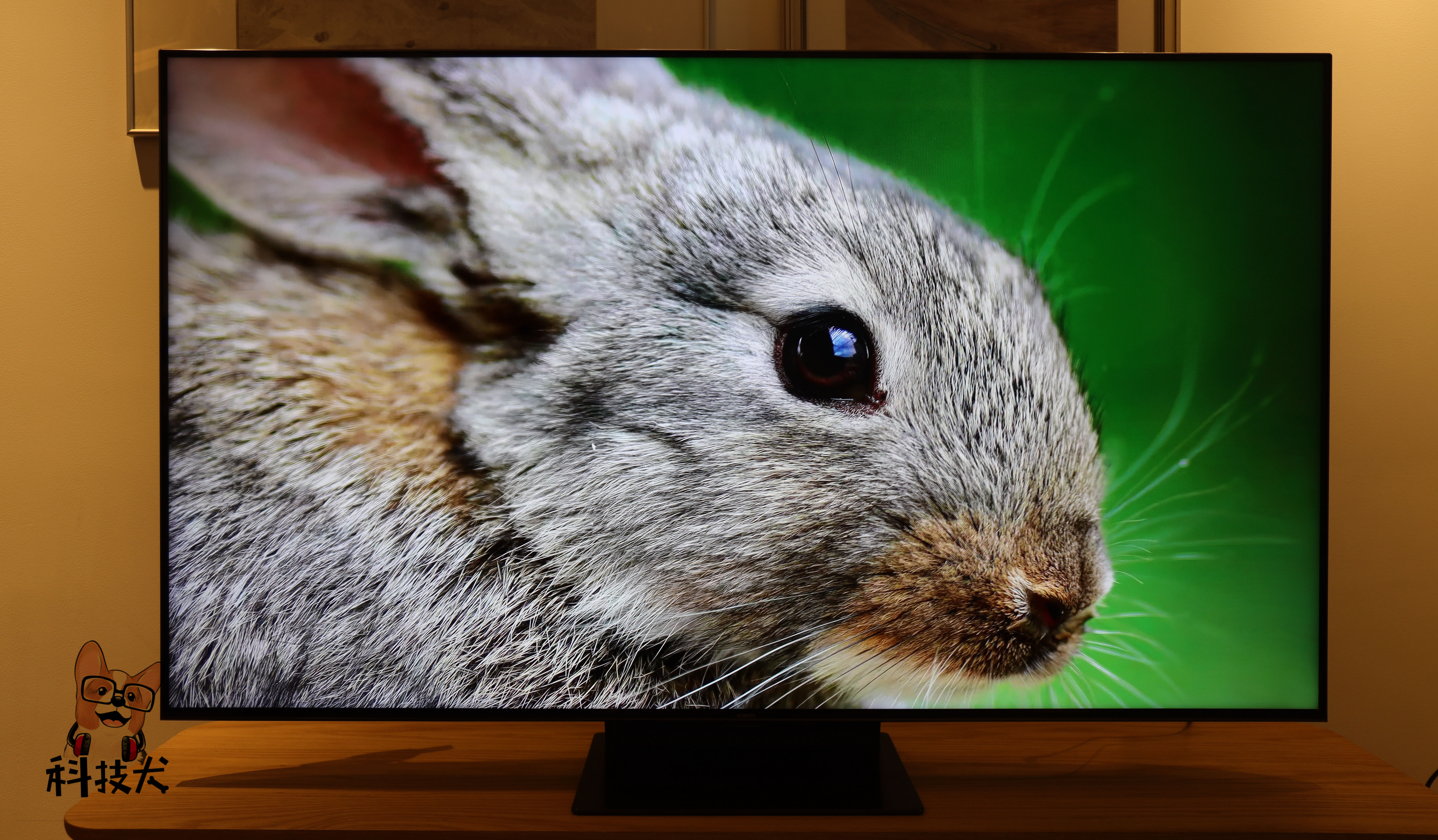 小米电视6大师至尊版65寸评测,小米电视6至尊版75寸真实评测