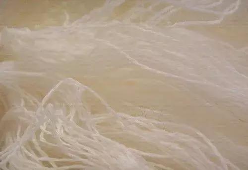 服装面料知识讲解主播,50种面料知识服装人必看收藏贴