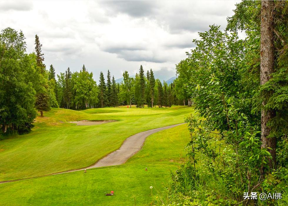 美国圆石滩高尔夫球场,美国高尔夫球场数量