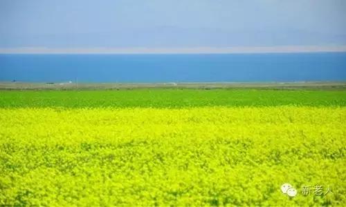 各省市特色文化符号,40个中国文化符号