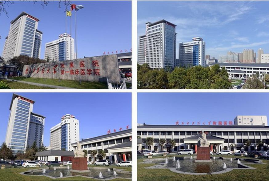 一场秋雨一场凉,滋补养生话膏方