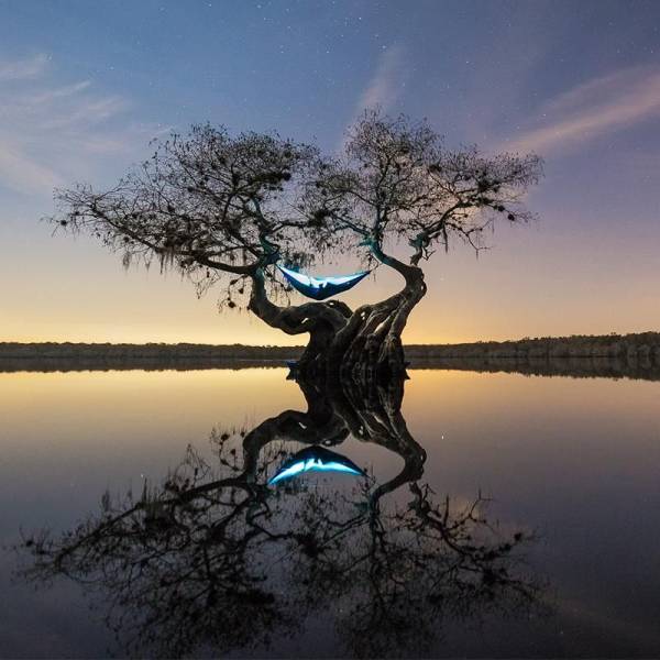 50张照片每一张都让人赞叹不已,50张让人叹为观止的照片