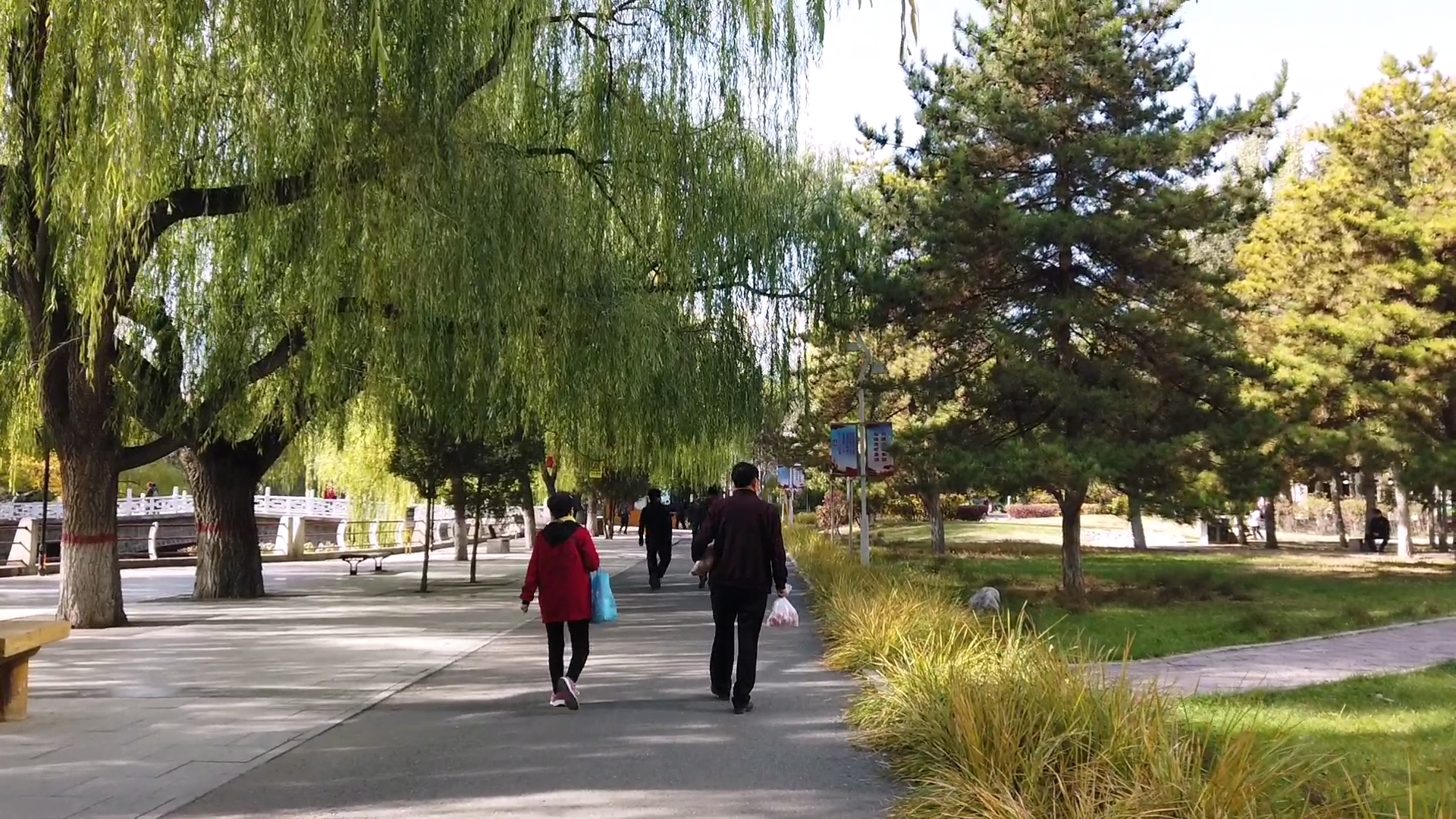 呼和浩特满都海公园晚上,呼和浩特市满都海公园有什么特点