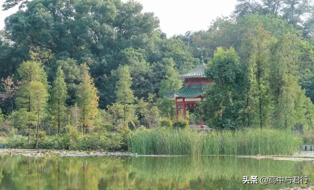 酸奶很出名的大学,广州盛产酸奶的大学
