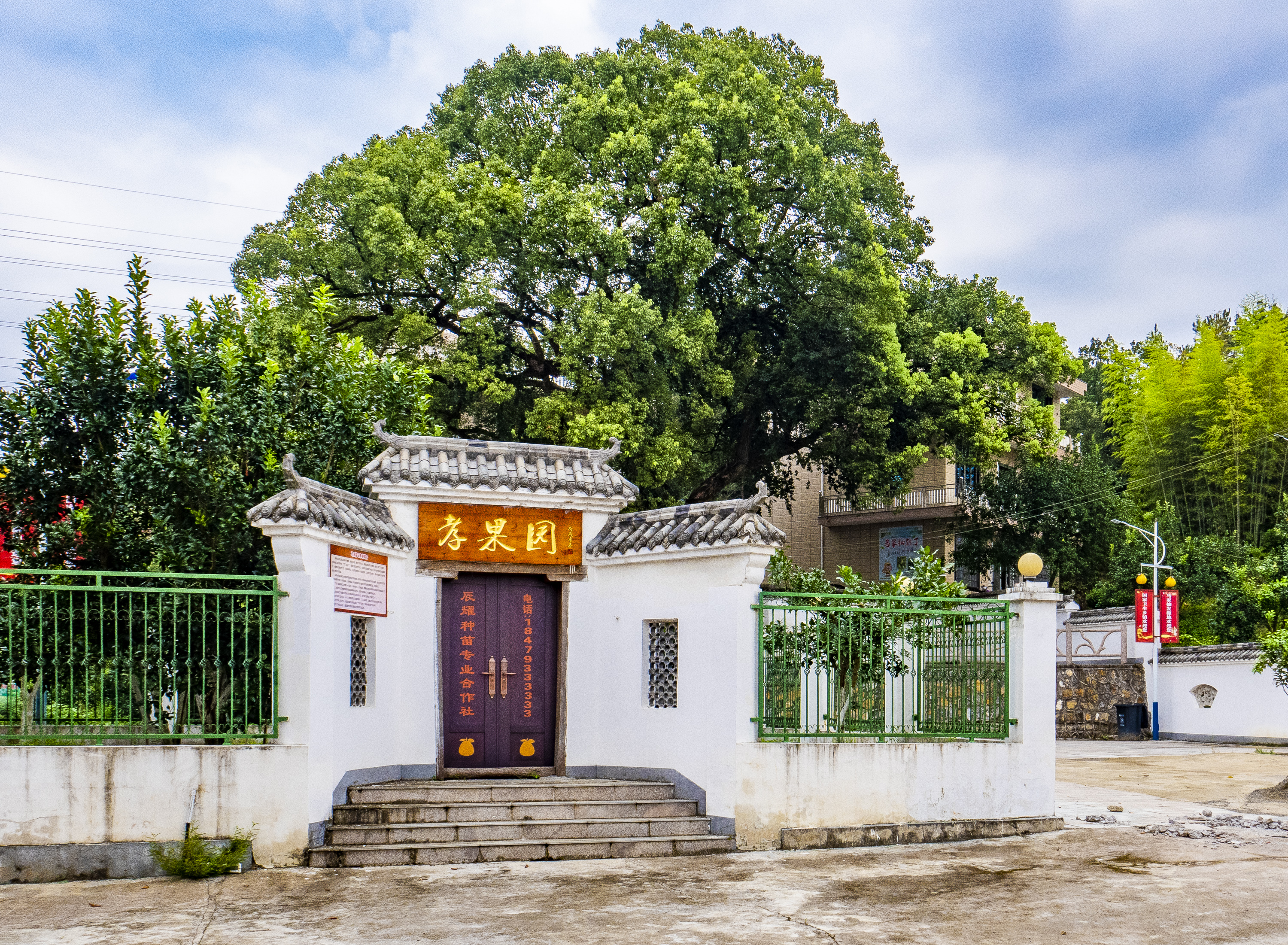 璁插笀寰愬己,寰愬己鏁欐巿婕旇瑙嗛