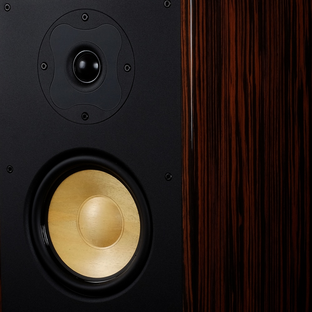 自然声ns19音箱试听,自然声ns17拆解