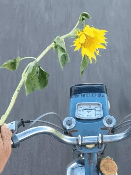 跟着ins最有品味男孩Jacquemus，去法国南部流浪