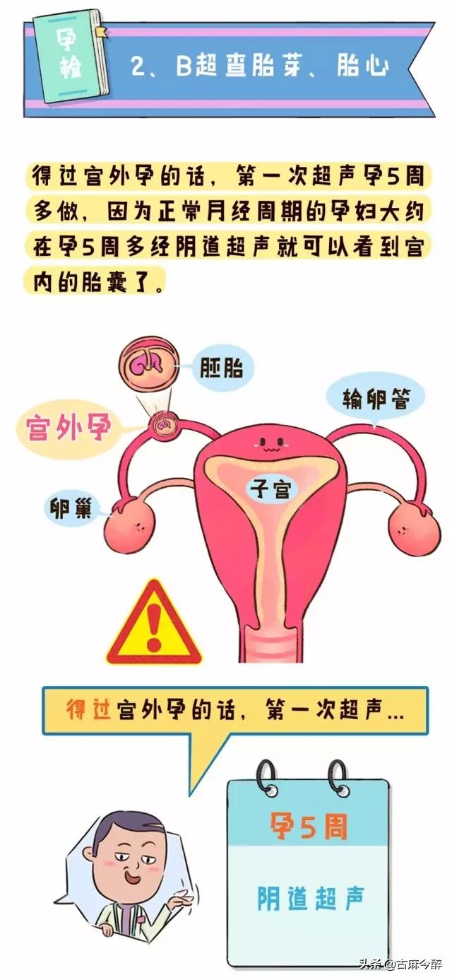 一分钟看懂孕检b超图,一秒教你看懂孕检化验单