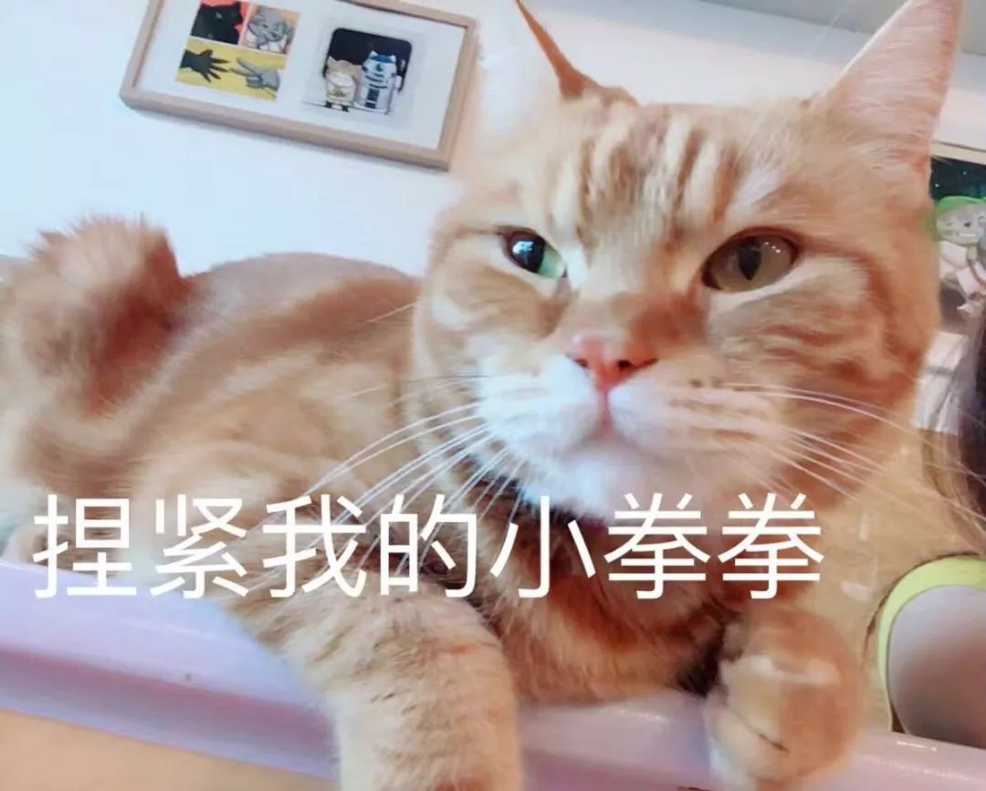 冬天宝宝皮肤粗糙颗粒状像鸡皮痒,猫咪肉垫上有个硬硬的是什么东西