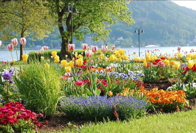 园林花卉学有哪些基础知识,园林花卉学书籍