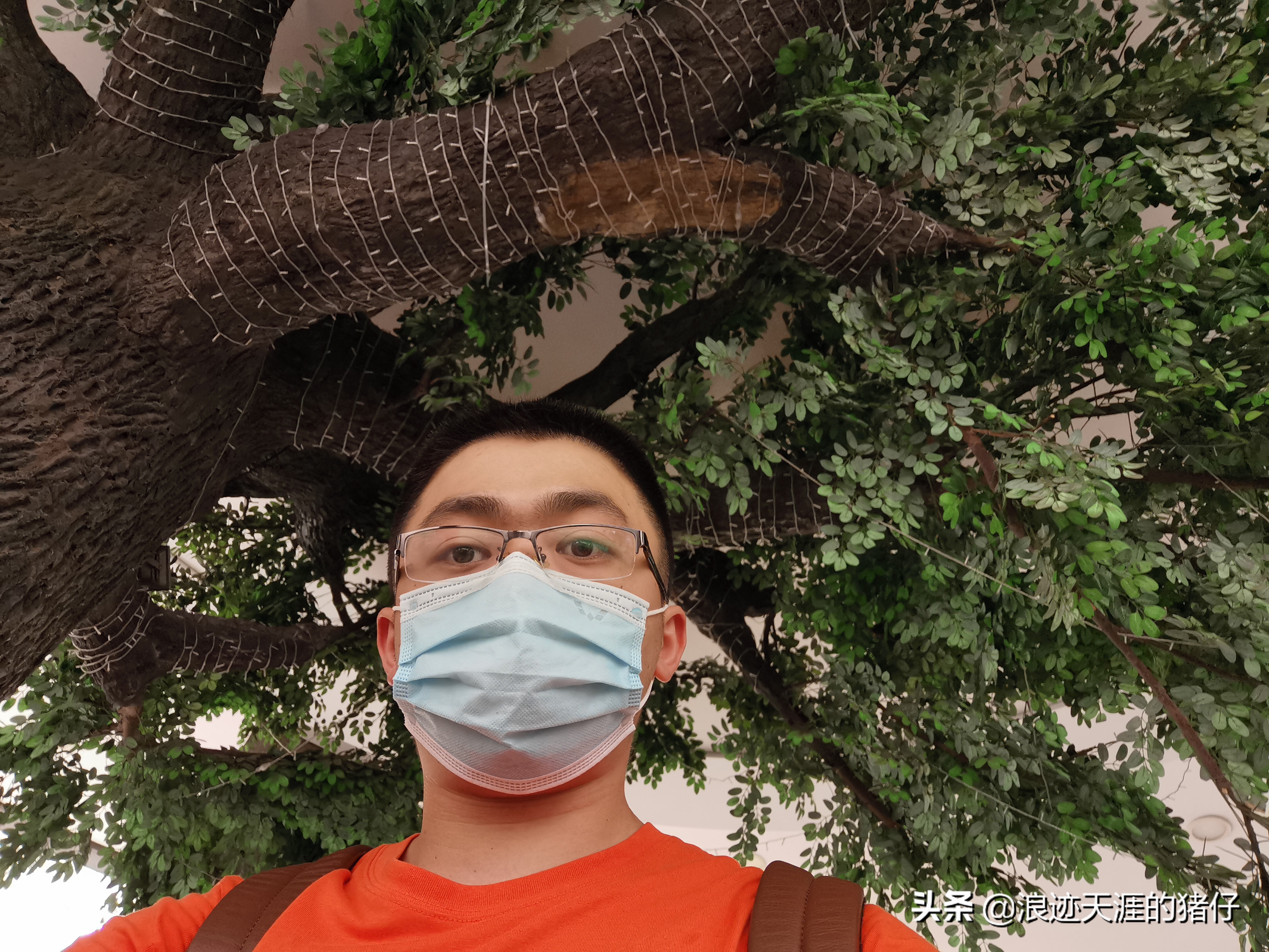 上海最具性价比的五星级酒店,上海四星以上酒店推荐