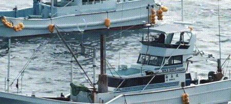 渔业危机纪录片,渔业阴谋纪录片预告